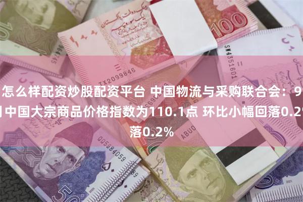 怎么样配资炒股配资平台 中国物流与采购联合会：9月中国大宗商品价格指数为110.1点 环比小幅回落0.2%