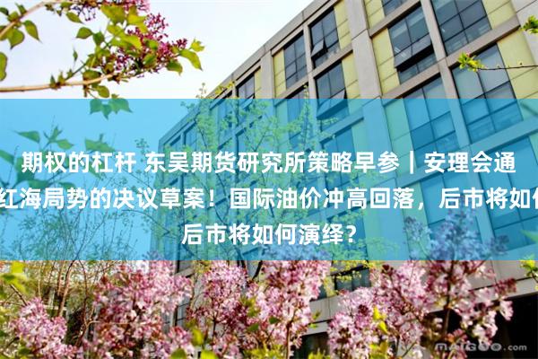期权的杠杆 东吴期货研究所策略早参｜安理会通过有关红海局势的决议草案！国际油价冲高回落，后市将如何演绎？