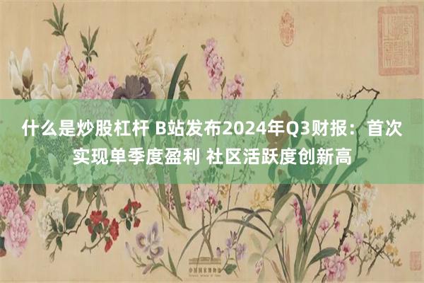 什么是炒股杠杆 B站发布2024年Q3财报：首次实现单季度盈利 社区活跃度创新高