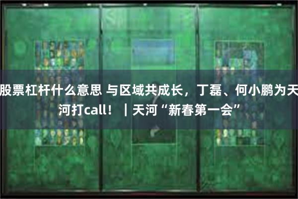 股票杠杆什么意思 与区域共成长，丁磊、何小鹏为天河打call！｜天河“新春第一会”