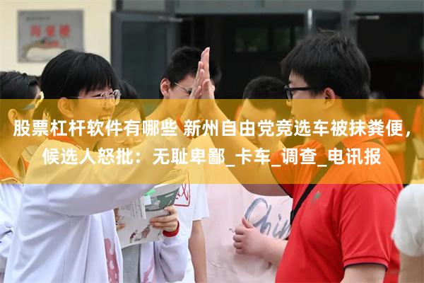 股票杠杆软件有哪些 新州自由党竞选车被抹粪便，候选人怒批：无耻卑鄙_卡车_调查_电讯报