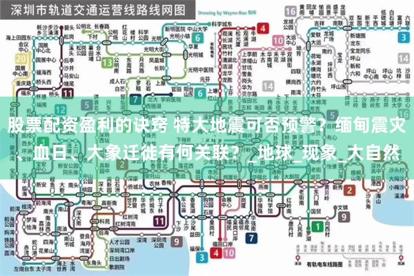 股票配资盈利的诀窍 特大地震可否预警？缅甸震灾、血日、大象迁徙有何关联？_地球_现象_大自然