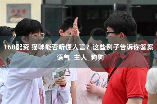 168配资 猫咪能否听懂人言？这些例子告诉你答案_语气_主人_狗狗