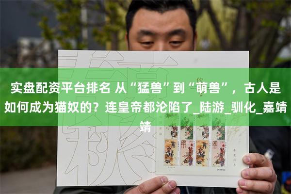 实盘配资平台排名 从“猛兽”到“萌兽”，古人是如何成为猫奴的？连皇帝都沦陷了_陆游_驯化_嘉靖