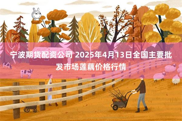 宁波期货配资公司 2025年4月13日全国主要批发市场莲藕价格行情