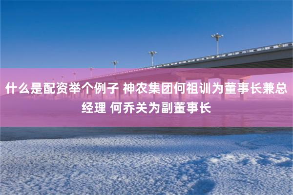 什么是配资举个例子 神农集团何祖训为董事长兼总经理 何乔关为副董事长