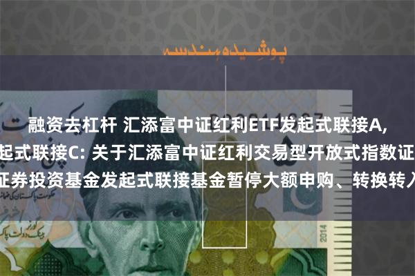 融资去杠杆 汇添富中证红利ETF发起式联接A,汇添富中证红利ETF发起式联接C: 关于汇添富中证红利