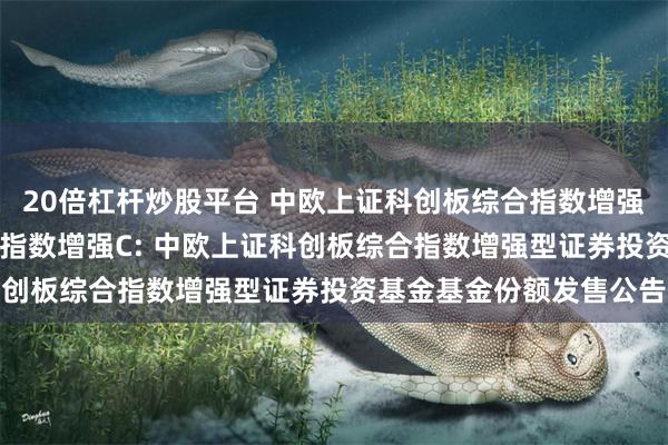 20倍杠杆炒股平台 中欧上证科创板综合指数增强A,中欧上证科创板综合指数增强C: 中欧上证科创板综合