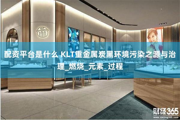 配资平台是什么 KLT重金属炭黑环境污染之源与治理_燃烧_元素_过程