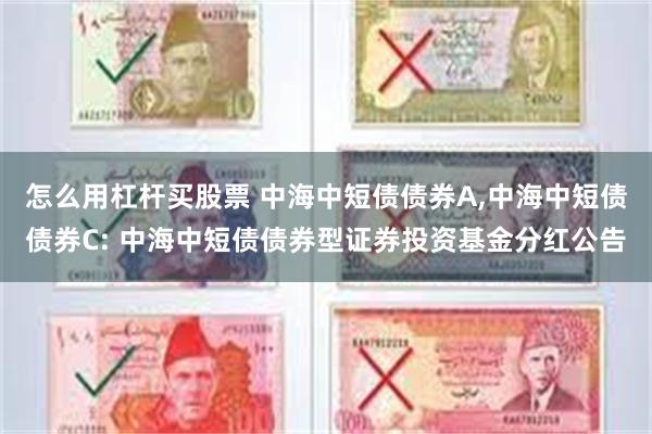 怎么用杠杆买股票 中海中短债债券A,中海中短债债券C: 中海中短债债券型证券投资基金分红公告