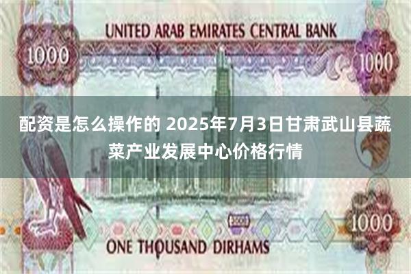 配资是怎么操作的 2025年7月3日甘肃武山县蔬菜产业发展中心价格行情