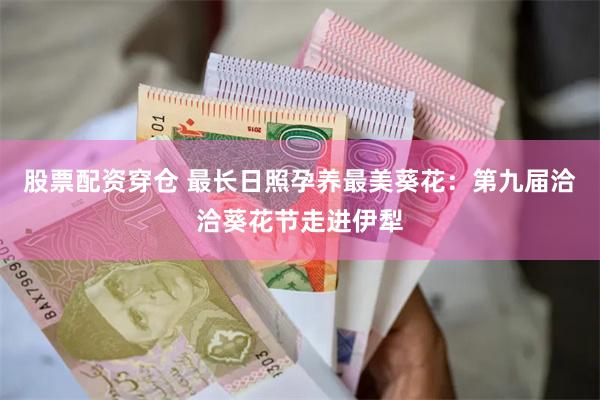 股票配资穿仓 最长日照孕养最美葵花：第九届洽洽葵花节走进伊犁