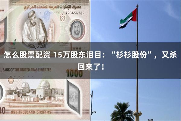 怎么股票配资 15万股东泪目：“杉杉股份”，又杀回来了！
