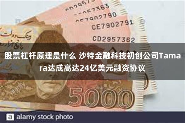 股票杠杆原理是什么 沙特金融科技初创公司Tamara达成高达24亿美元融资协议