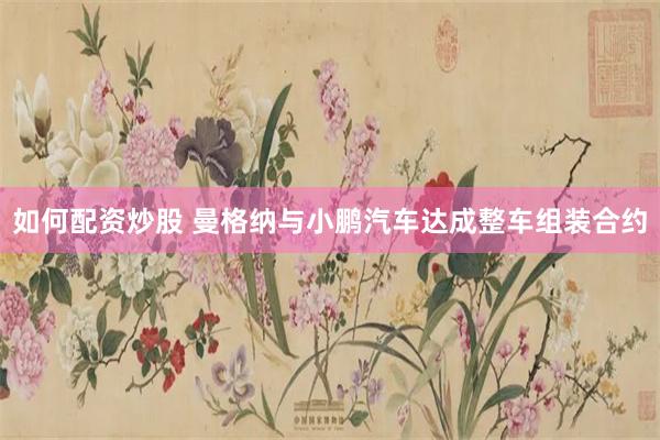 如何配资炒股 曼格纳与小鹏汽车达成整车组装合约