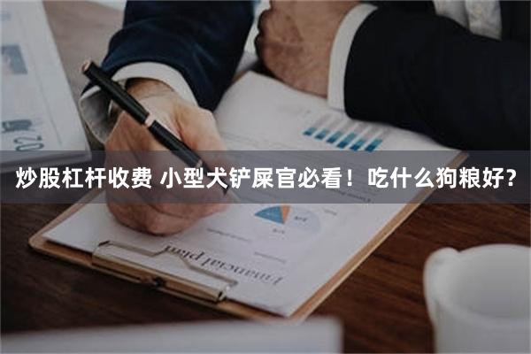 炒股杠杆收费 小型犬铲屎官必看！吃什么狗粮好？