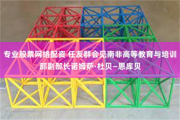 专业股票网络配资 任友群会见南非高等教育与培训部副部长诺姆萨·杜贝—恩库贝