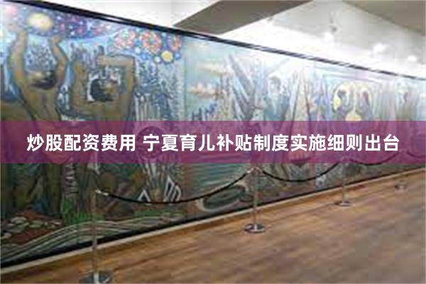 炒股配资费用 宁夏育儿补贴制度实施细则出台